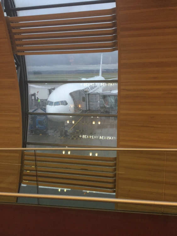 avion par la fenêtre